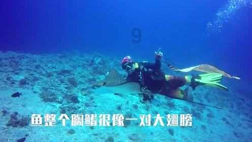 深夜灯火阑珊,广州居能的洗手液怎么样?想批点回去卖等你来解答
