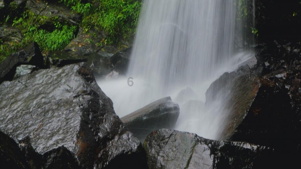 虫虫助手下载